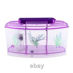 3 Count Fish Tank for Kids Desktop Eco Old People's Home Three Grid Aquarium