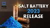 American Company Natron Energy S New Sodium Ion Batteries Shocked China S Battery Manufacturers