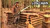 Building An Off Grid Log Cabin Using Hand Tools Bushcraft Survival Shelter Eco Project Ep 1