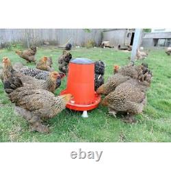 Eco Chicken Feeder Capacity 12kgs
