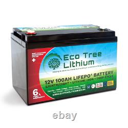 Eco Tree 12v 100AH LiFePO4 Deep Cycle Lithium Battery Heavy Duty BMS Off Grid