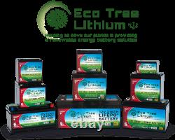 Eco Tree 12v 100AH LiFePO4 Deep Cycle Lithium Battery Heavy Duty BMS Off Grid