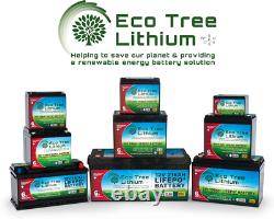 Eco Tree 12v 24AH LiFePO4 Deep Cycle Lithium Battery Heavy Duty BMS Off Grid
