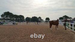 Entry Level 20 X 60m Horse Arena / Horse Manege (Menage) Geotextile Package