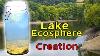 Créer Une Écosphère Du Lac Un Écosystème À L'intérieur D'une Jarre De Verre Scellée