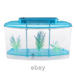 Ensemble de 2 mini décoratifs écologiques pour aquarium pour enfants avec trois compartiments