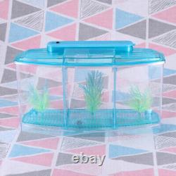 Ensemble de 2 mini décoratifs écologiques pour aquarium pour enfants avec trois compartiments